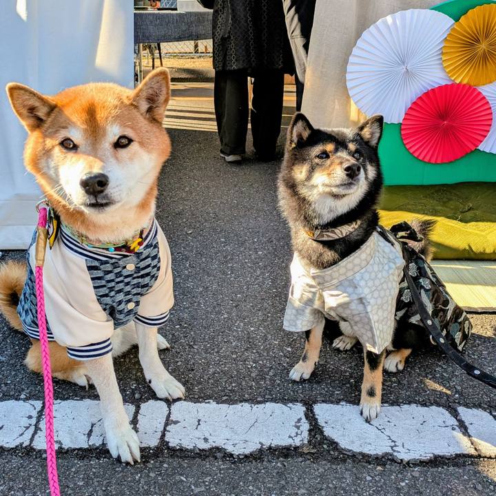 0d322bc0 7c97 4e74 9e74 4f269bbf713f 1767106363412