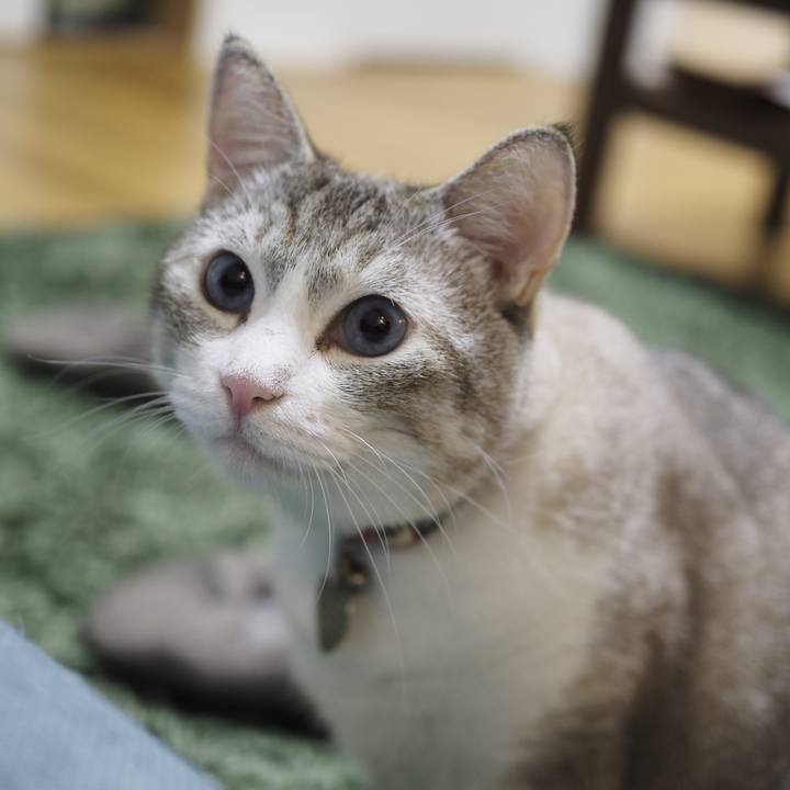 0d323ecf b110 4a8c b4e1 871a50d17c62 1659954218425