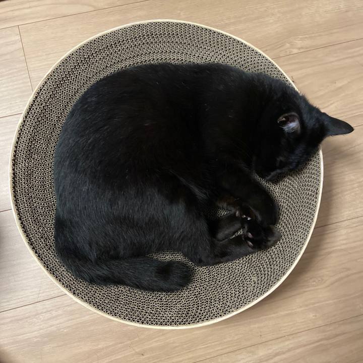 0d3265b1 0f90 4804 bbe3 e5048710f12f 1692703739660