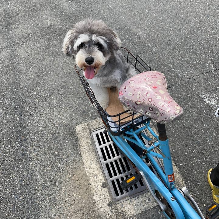 0d32cdb9 dba0 44a4 bd3c 355c3cf123cc 1596879876344