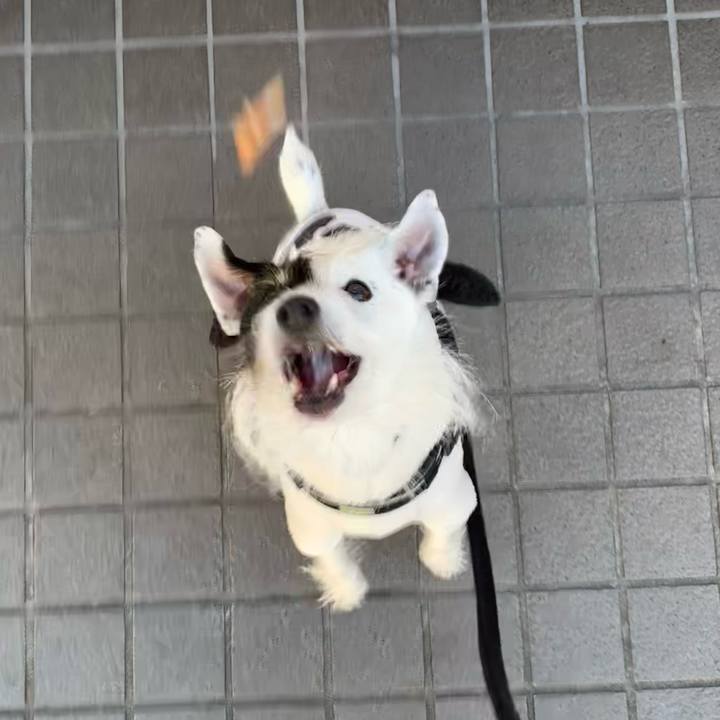 0d32ddea 5b8c 4179 bd23 efc713e23e17 1706057421149