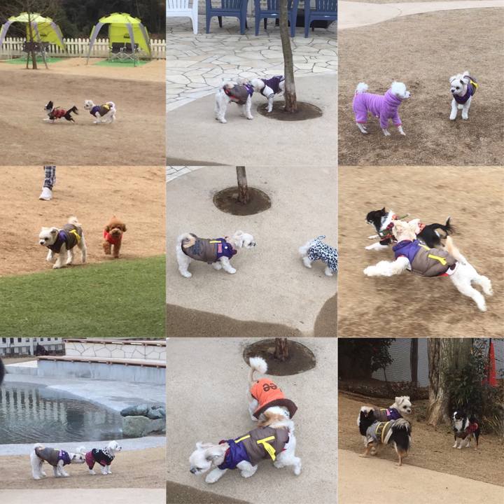 0d32de93 b747 48a1 af5c 9539ec78b76e 1516271151249