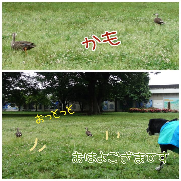 0d32e072 6635 49d1 90bb 83c79509cc0e 1684802792075