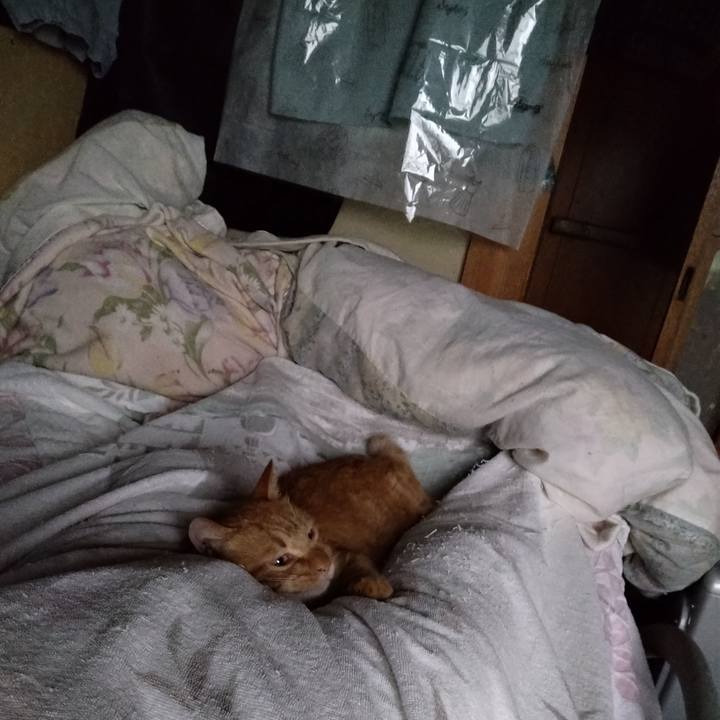 0d330994 db04 4b87 8dd2 f7ceb78ff3c6 1695247562742