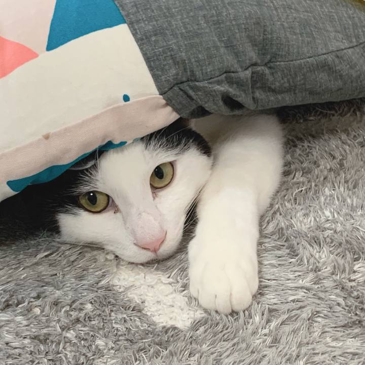 0d33370f f413 4865 977d fc22c577fbc8 1578186214379