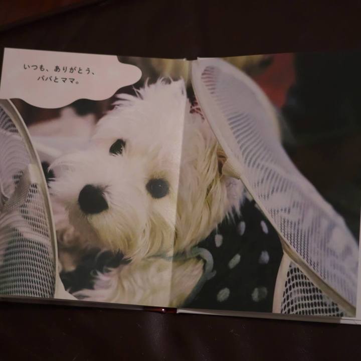 0d333e68 1ca9 4803 8fcf 65a10c61ed5c 1514120807919