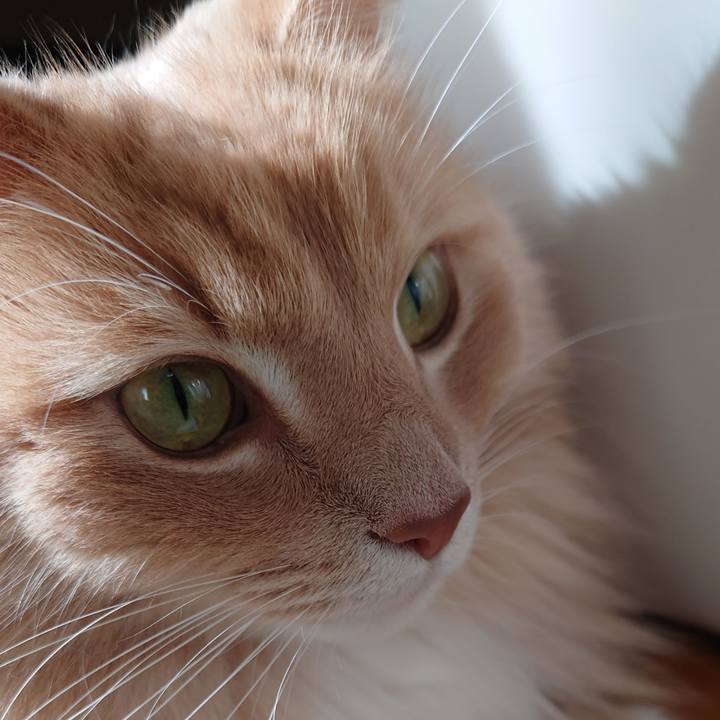 0d336e67 7427 46f6 92b0 3553e9d22a38 1610531696443