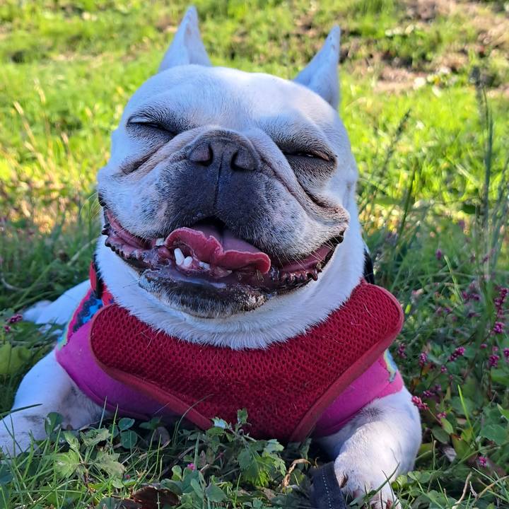 0d33b304 8eb3 4af0 9956 e74734312d9e 1698627142285