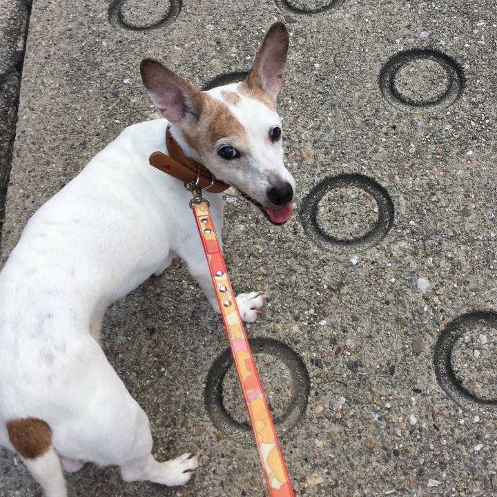 0d33c332 28b2 4196 91fa ad81a18cc990 1565568955022