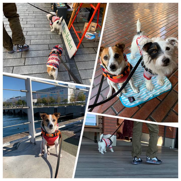 0d3473b7 3f23 4dc1 8420 2171aa969f22 1575783456318