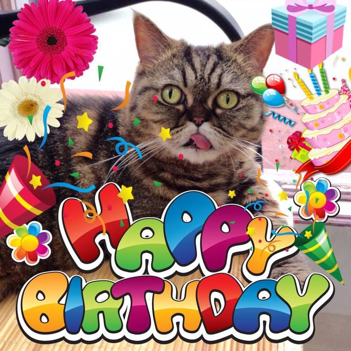 0d347915 0c2f 431b b4ec 07bfd9da9739 1545177579879