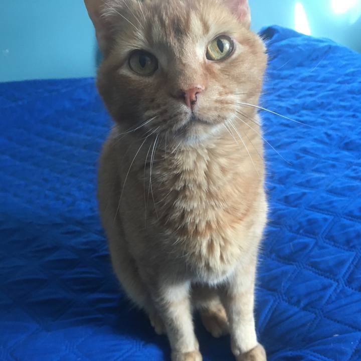 0d347e60 f306 4ed9 aa2e 88d27b7d299b 1618019873226