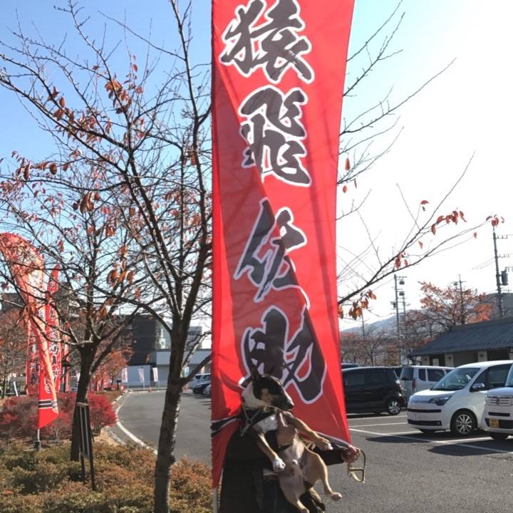 0d34c546 213e 4031 9a3b 7a51f37733e0 1510906048925