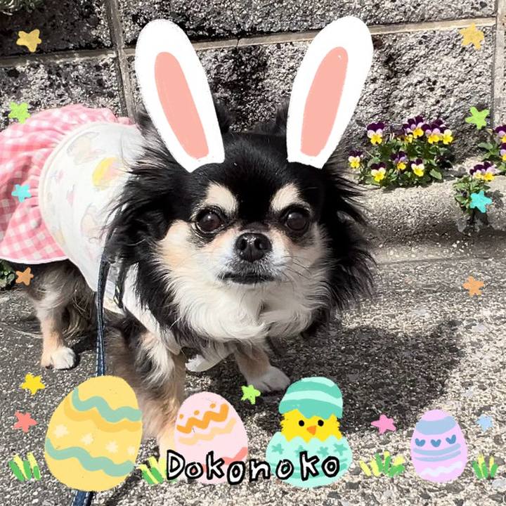 0d34f6cb 81bc 48cd aea6 640c3a56e721 1712214939119