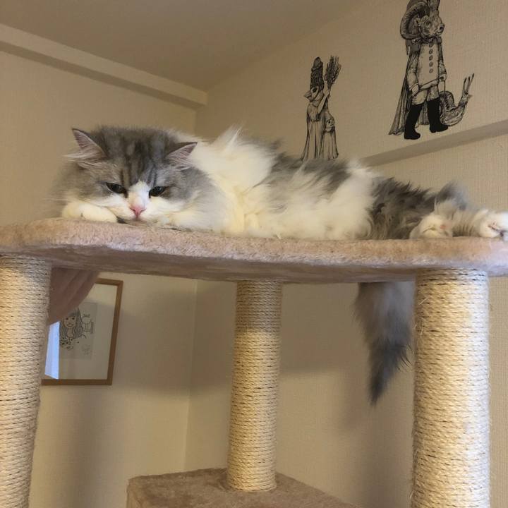 0d3507d6 8f78 4cdb 8333 4a220357f490 1612410915390