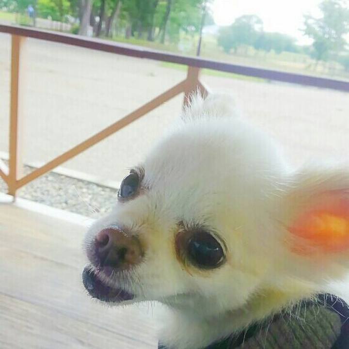 0d35257f f092 4d49 adf0 818c2592ac7b 1559458897434