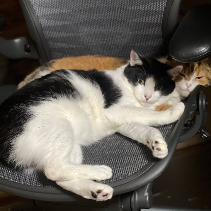 0d353d84 54dd 4c21 a897 3546c548666d 1687702707548