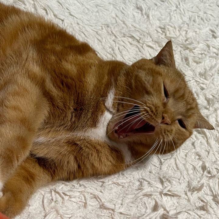 0d3564e1 07be 402b 917d 818a89e36abd 1727600326749