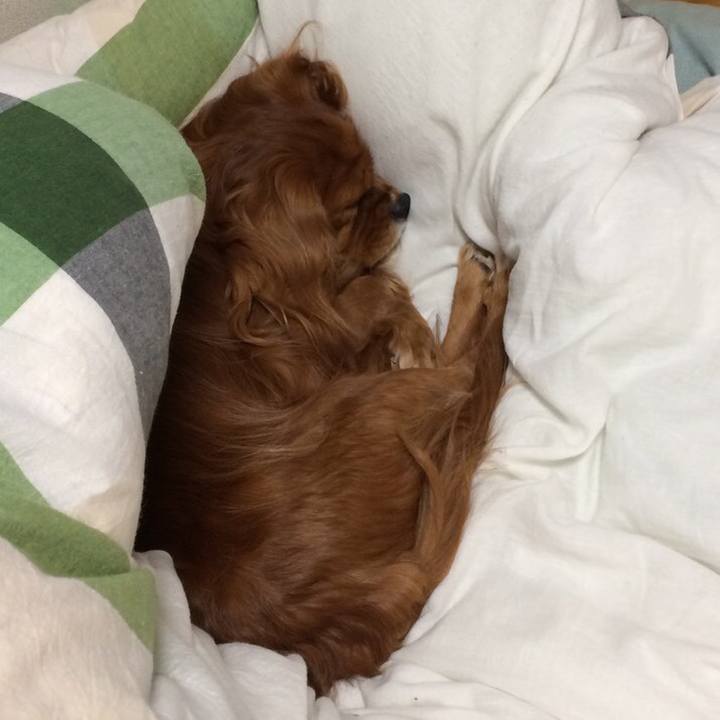 0d3565f5 2832 439a b35a 5ef9e87c1f41 1608476403778