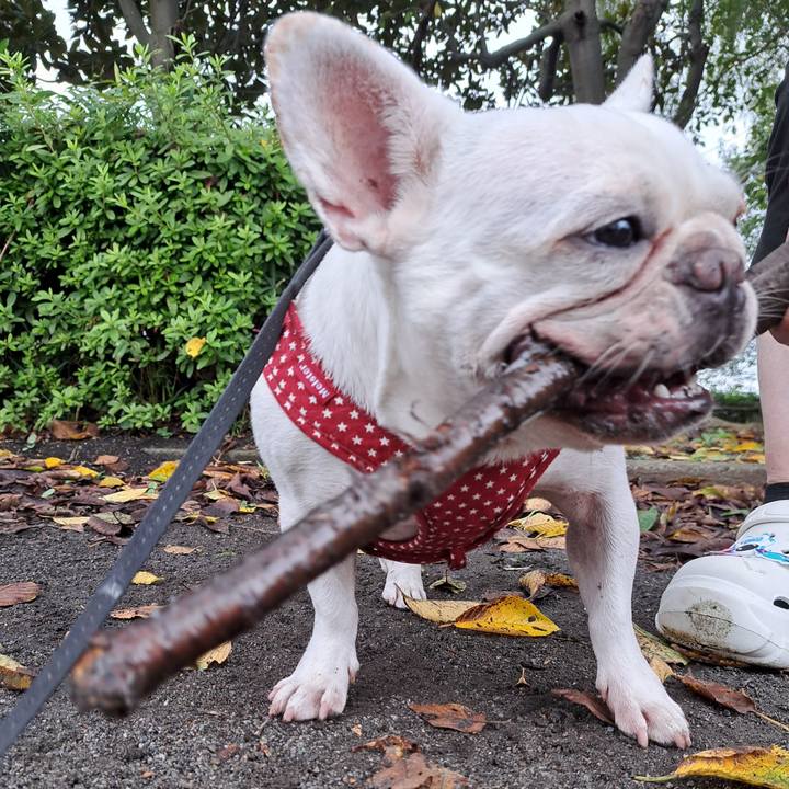 0d3569ed b564 4df0 af87 e2a471cf0b4c 1695516889455