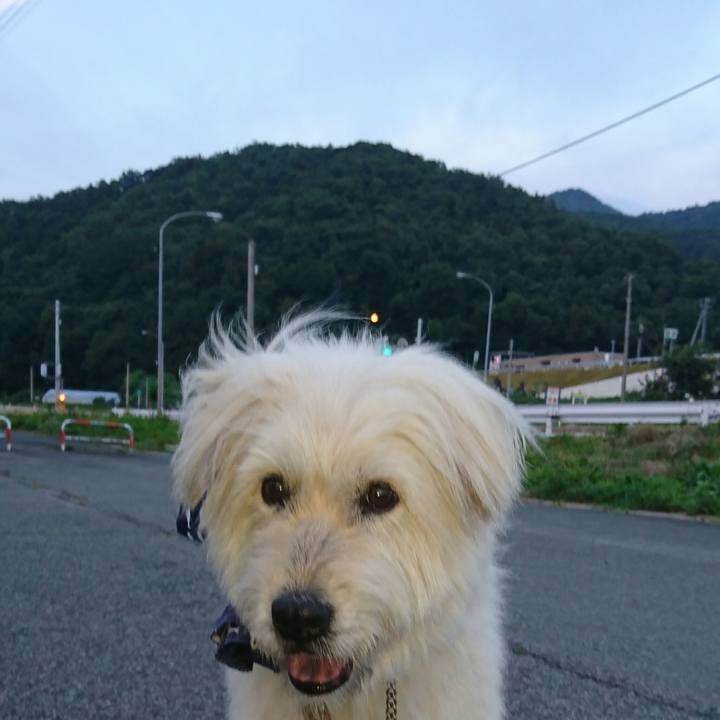 0d358479 c96a 44fd 8ef4 470495d5872c 1564225424996