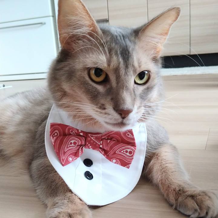 0d358950 759f 4541 b396 6c31b5863780 1606181473311