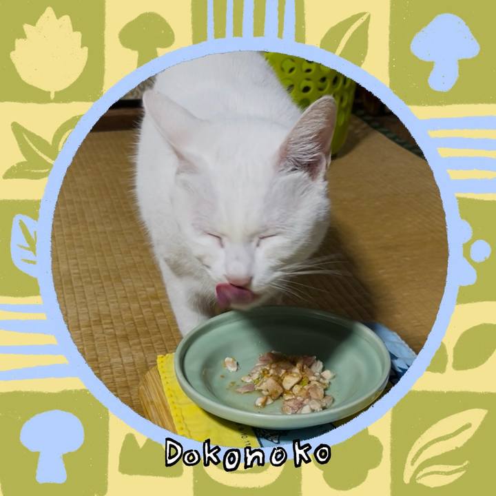 0d35b17c 20b1 4976 90f9 82423966d728 1761911427428