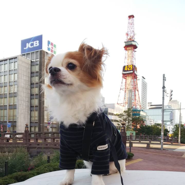 0d35b3a7 94fb 4bb3 93bb c1f5a9c8f5c0 1538642342539