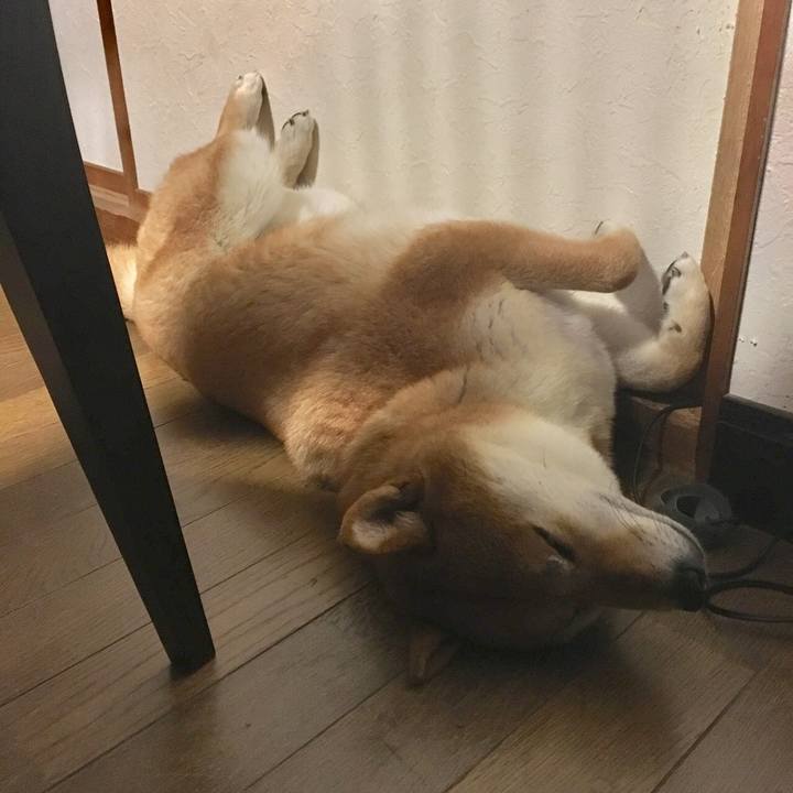 0d35cd07 4937 4266 826a 3ac33a706efb 1530655069933