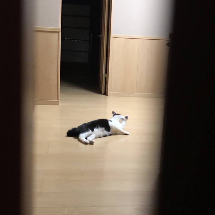 0d35db5c 6fdc 45f4 abe9 c45015b1ef2f 1556281111930