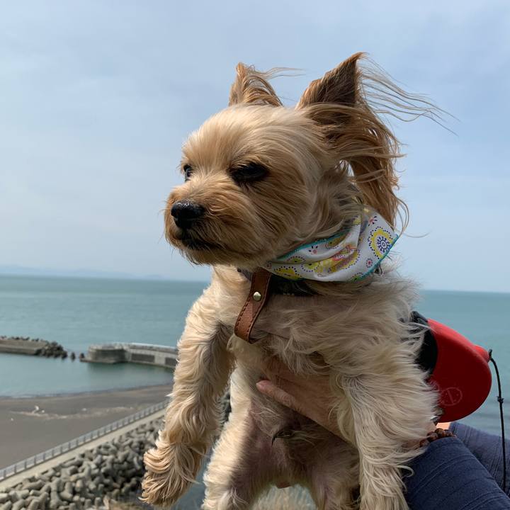 0d35e840 e806 4f14 ae71 c1ef73b2962a 1556616996534