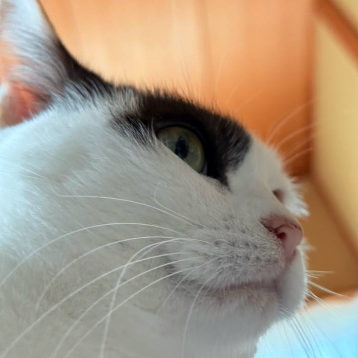 0d35ec17 6d9c 4534 a420 0583ff2ec2ba 1733191504792