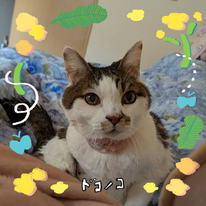 0d36052f ed33 49fd 8f27 64e2f4700258 1744574355921