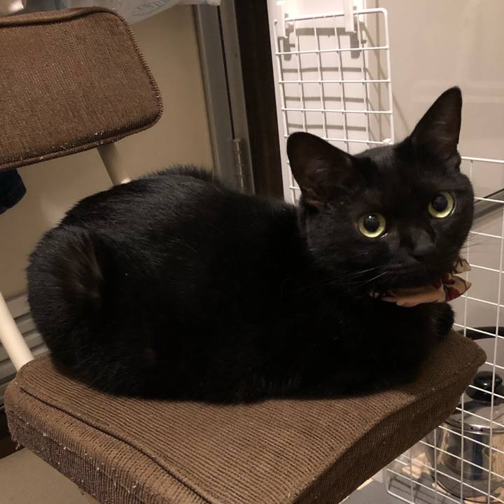 0d360de4 c517 41f2 80d1 0af02a2c2bef 1596625972138