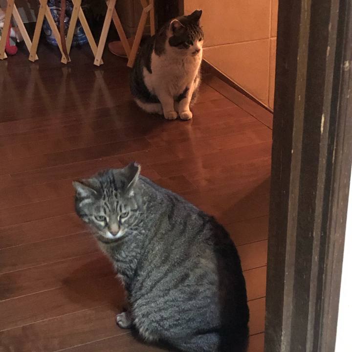 0d363d7f de0c 4eee 9b02 598be6435aaa 1552390043006