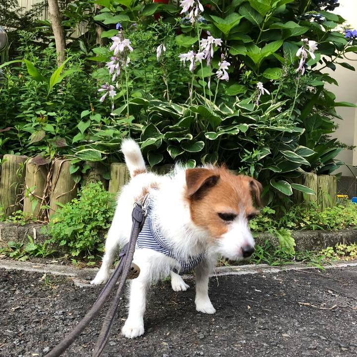 0d366f49 14d5 4283 9a73 99c39e912b45 1624851646779