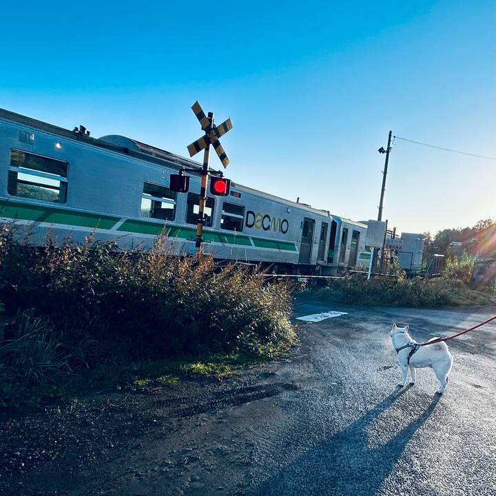 0d368f0b 4f07 48af 8f88 28972ceb34fd 1699500636128