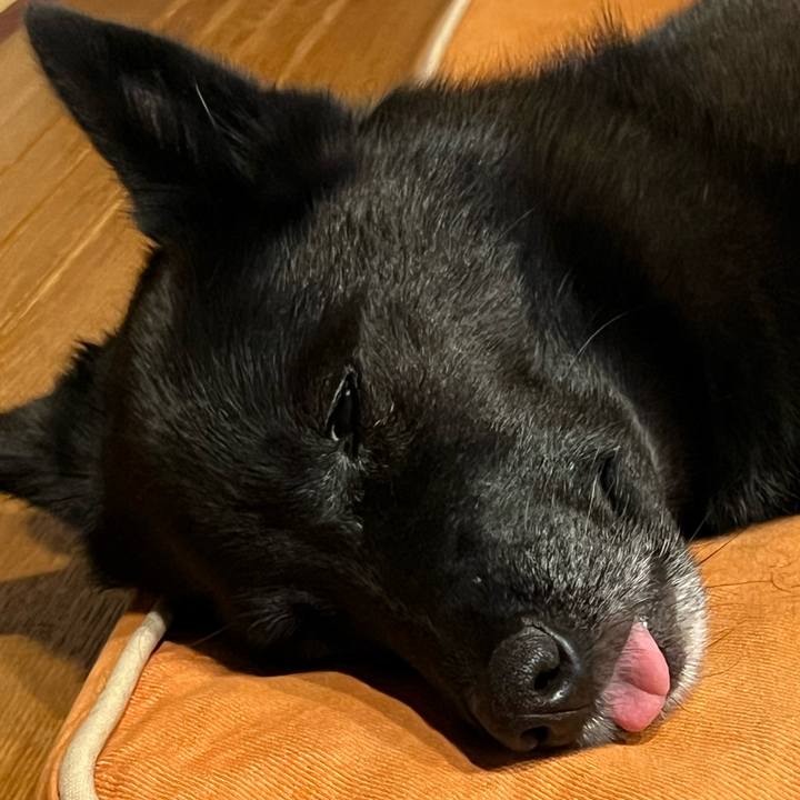 0d369a2b 7396 4390 a565 2966a97d5b94 1694824362262