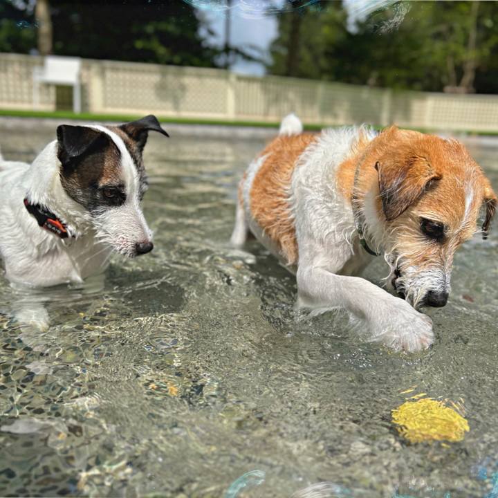 0d36ec02 5019 4bcf 8ab8 7869bf0000e4 1721439705461