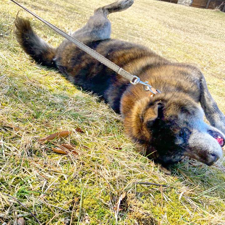 0d370cad fa41 44f2 89ed af6fff45dfec 1615202177837