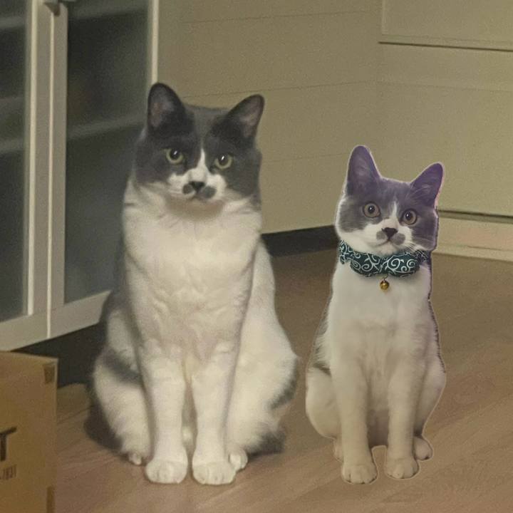 0d37282b 724c 4be2 904c a21eca6daf7e 1723994736312