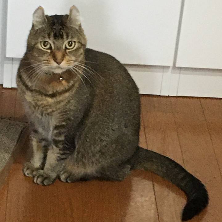 0d373695 1c12 4c40 8493 3b11bbf46b08 1583814302094