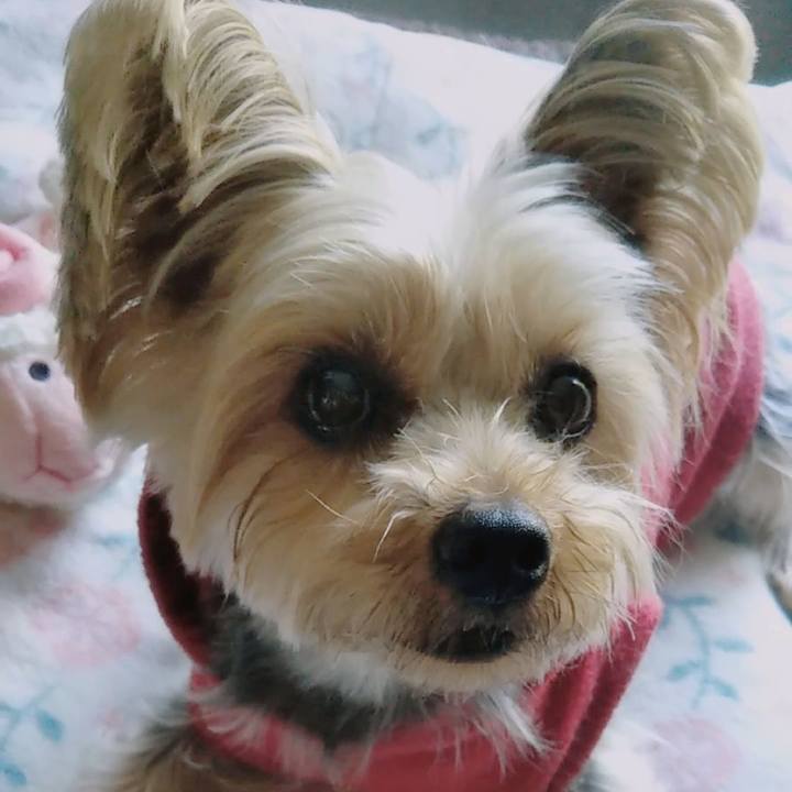 0d378db9 67a9 4c86 9176 8d29de842b7c 1645083971818