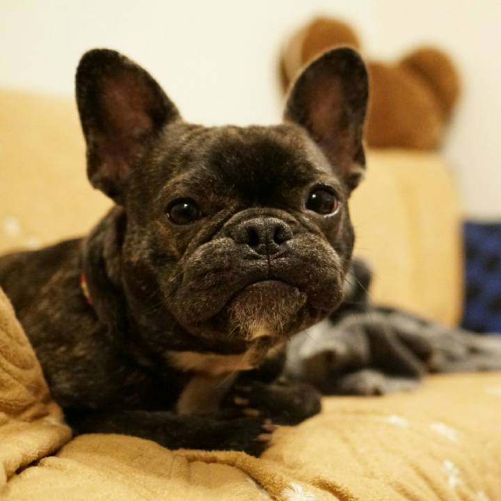 0d37c7cf bf17 4a3d b84e 859a0a44a4bc 1515592759821