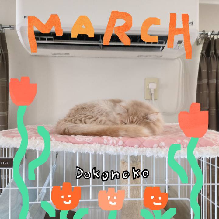 0d37c9a0 c3c4 4f1f abe3 a58efe39afc0 1741225245604