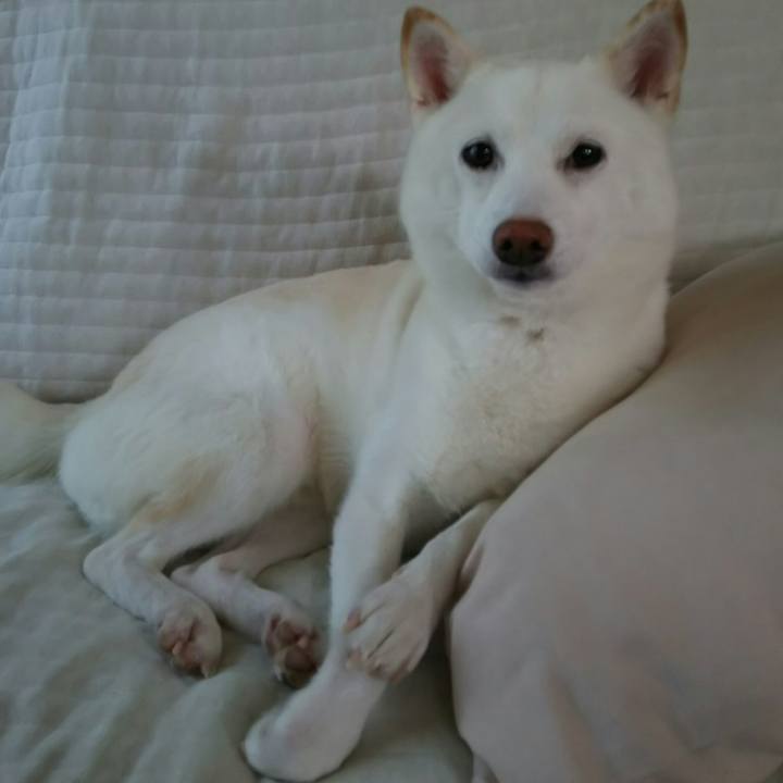 0d38626a 6748 498b ac30 fa2d4cbf5a5b 1598489625196