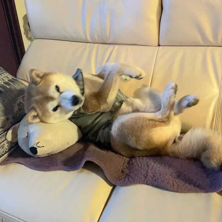 0d387f32 2cc9 40a8 be25 d01c2187c530 1614775872187