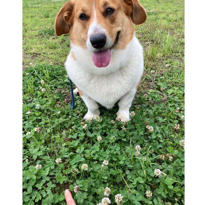 0d38a6f8 eb4f 42d6 a88e 8ffb57bd186a 1654661317386