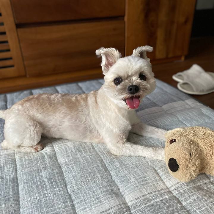 0d38e285 f5b7 4e5f a1e2 5278a353c828 1721735490273