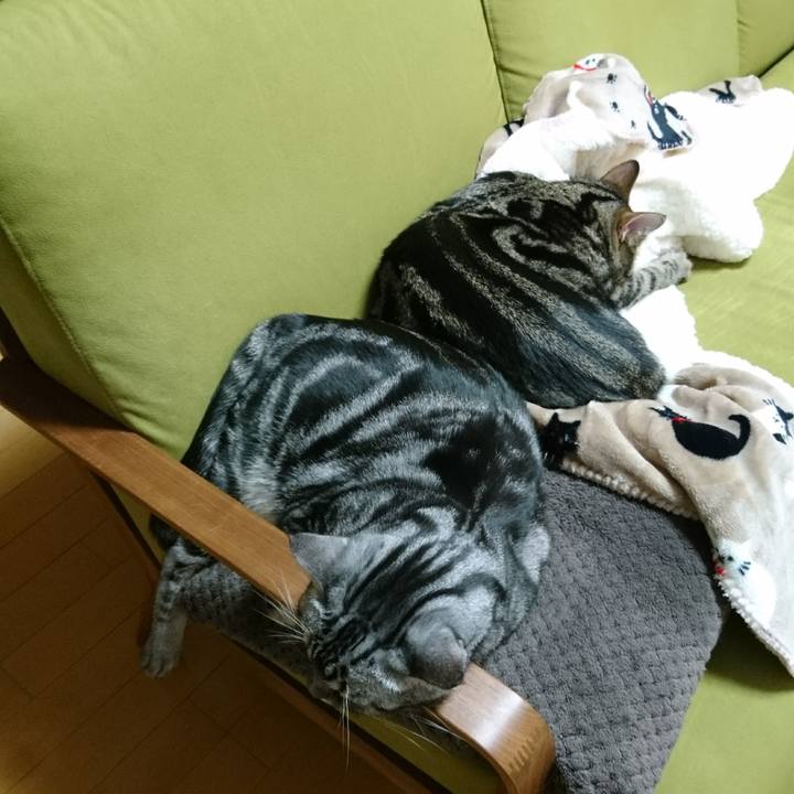 0d38fd82 5d75 46fc 8657 87724dcd27c4 1511654665119